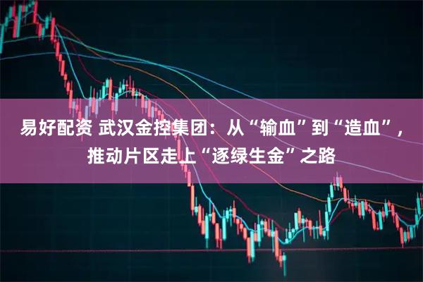 易好配资 武汉金控集团：从“输血”到“造血”，推动片区走上“逐绿生金”之路